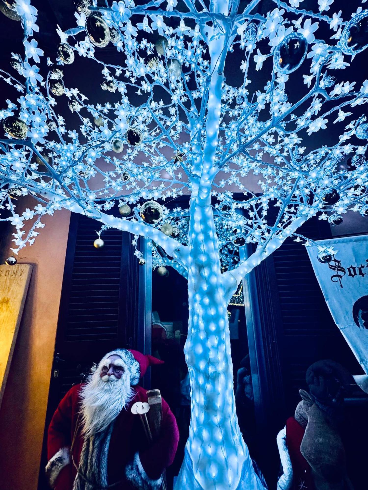 Appartamento - Molo Del Porto A ชิวิตาเวกเกีย ภายนอก รูปภาพ